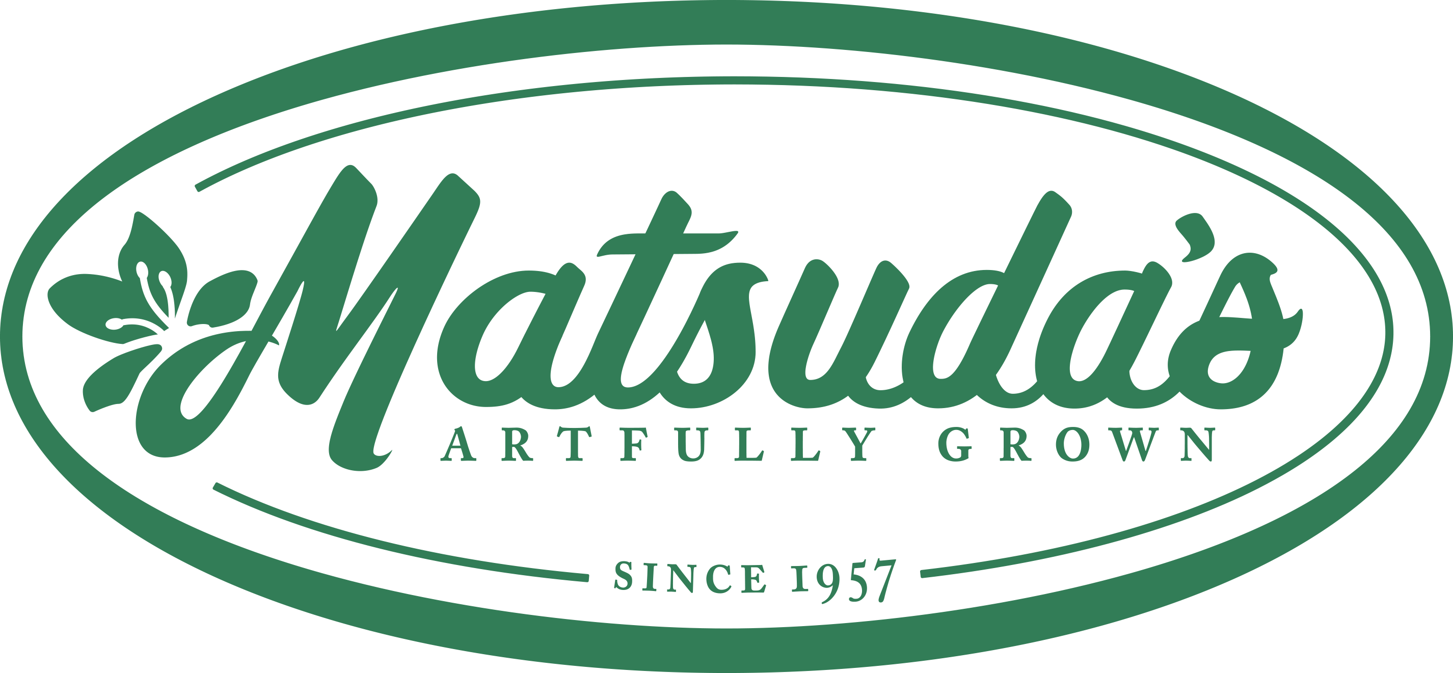 matsudas transparent logo